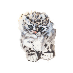 Tiger Watercolor painting isolated. Watercolor hand painted cute animal illustrations. Tiger isolated on white background