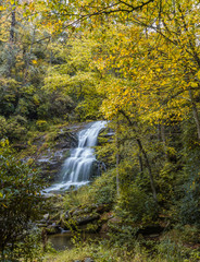 Waterfall surrounded by yellow fall color in forest
