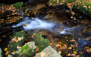 Small stream in mountains in autumn.