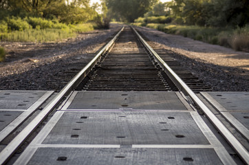 Obraz premium Railroad Tracks Converging Horizon Centered
