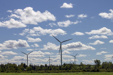 Windmills in a Field Against Blue Sky