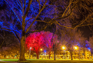 Latimer Square lights in Christchurch shine brightly at night - obrazy, fototapety, plakaty