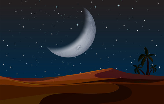 A desert landscape at night