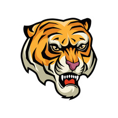 tiger head vector graphic illustration
