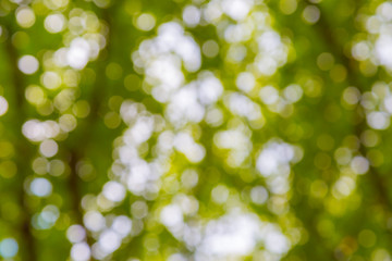 Obraz premium abstract bokeh blur defocus