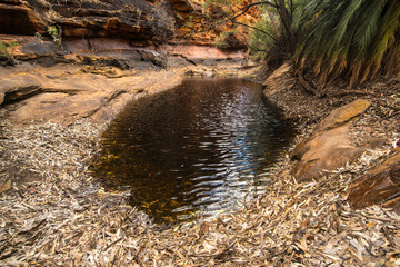 The water pool at the bottom of Garden of Eden in Kings Canyon, Northern Territory state of Australia.