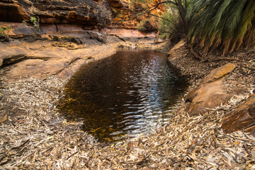 The water pool at the bottom of Garden of Eden in Kings Canyon, Northern Territory state of Australia.
