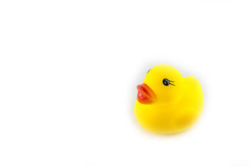 yellow toy rubber duckling isolated