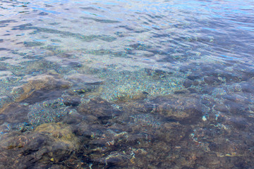 海 ハワイ