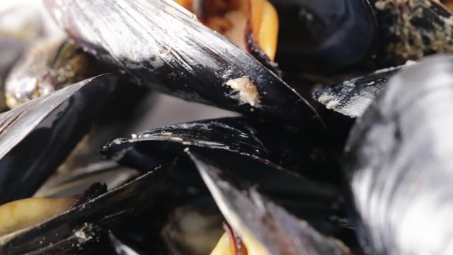 Cozze aperte