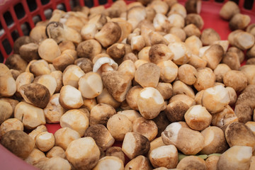 Straw mushrooms at market.