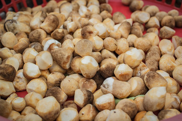 Straw mushrooms at market.