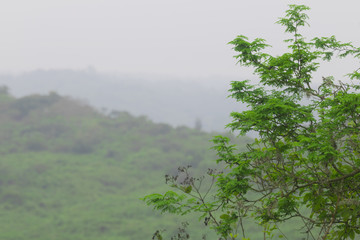 nature ecuador