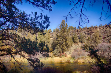 Dry grass along the Crooked River