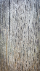 Old nature wood texture