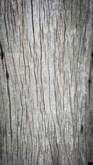 Old nature wood texture