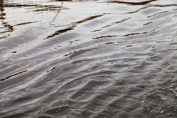 Ripple on the surface of the wate.