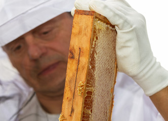 Apiarist is working.