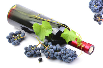 A bottle of wine on a white background