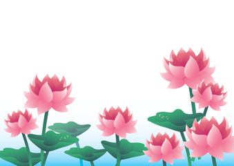 asian lotus lily water illustration