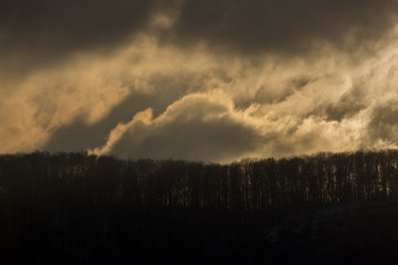 Wolken über einem Wald