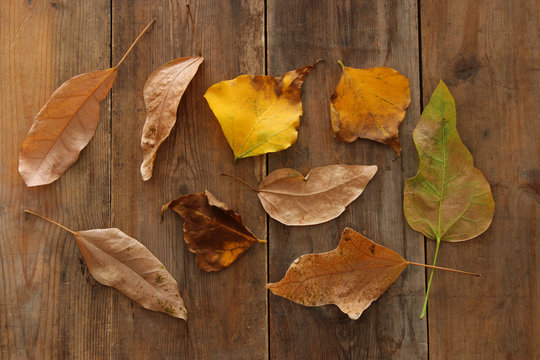 top view image of autumn leaves over wooden textured background.
