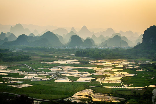 Sunset over rice paddy in Yangshuo China