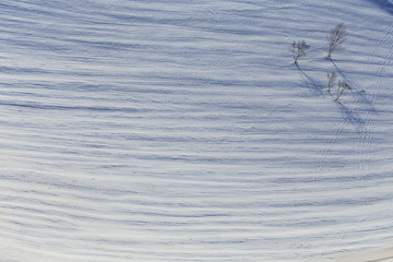 アート的な雪解けの山肌（八方尾根）