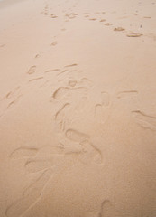 Sand texture.