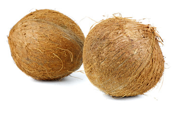 two coconut on white background