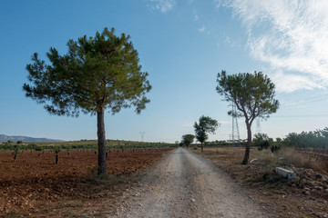 Fototapeta premium The road of the via augusta under the blue sky, castellon