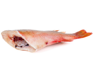 Ready-to-cook red perch fish