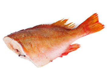 Raw headless red perch
