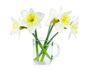 Yellow-white daffodils in glass cup