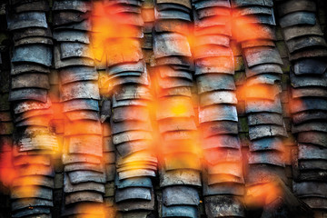 Autumn leaf  over roof tiles