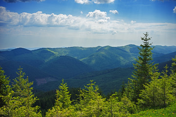Fototapeta premium Zalesione góry w malowniczym krajobrazie