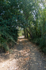 The road of the via augusta under the blue sky, castellon