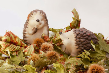 Zwei Igel mit  Kastanien