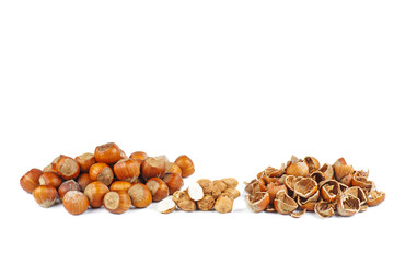 Pile of hazelnuts and husks