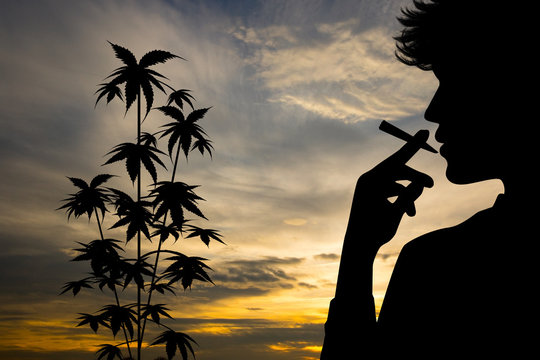 smoked marijuana at sunset