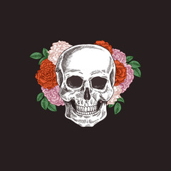 Floral human skull. Tattoo anatomy vintage illustration.