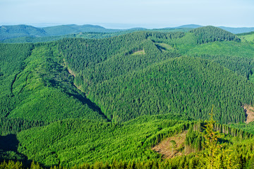 Fototapeta premium Forested mountains in a scenic landscape view