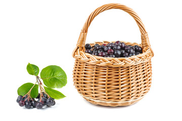 Fototapeta na wymiar Wicker basket with chokeberries isolated on white background