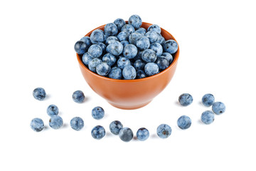 Blackthorn berries in brown clay bowl
