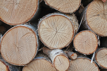 Logs of birch firewood