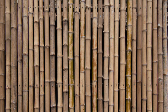 Bamboo wall pattern background