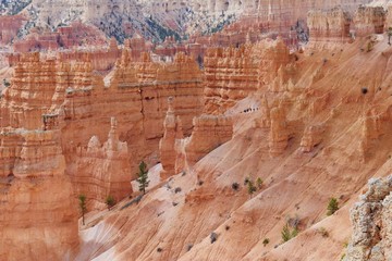 Rocky landscape in Bryce Canyon, Utah, USA	