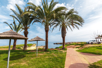 Fototapeta premium Tropical coast, beach
