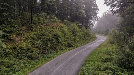 Aerial view of mountain road in the fog. First signs of autumn, yellow ends on leaves.