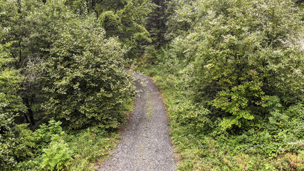 Aerial view of mountain road in the fog. First signs of autumn, yellow ends on leaves.